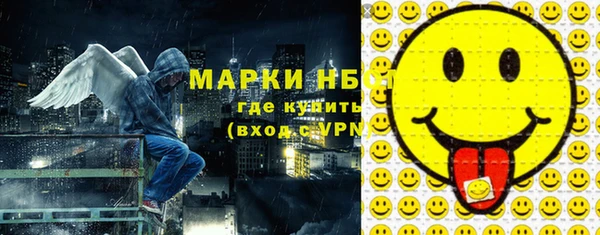 хмурый Аркадак