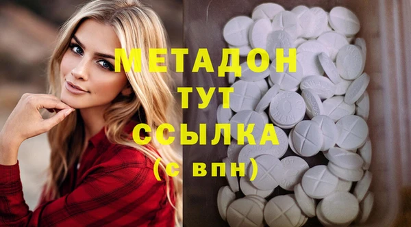 хмурый Аркадак
