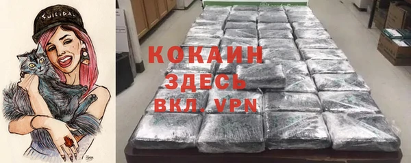 хмурый Аркадак