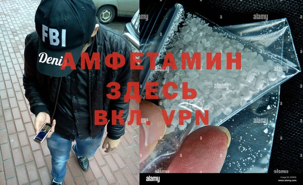 хмурый Аркадак