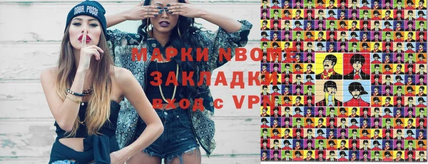 хмурый Аркадак