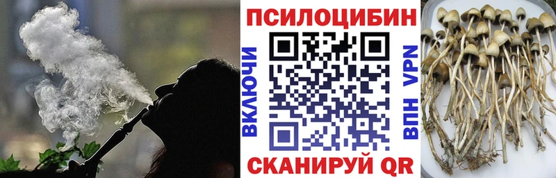 OMG   Курган  Галлюциногенные грибы Magic Shrooms 