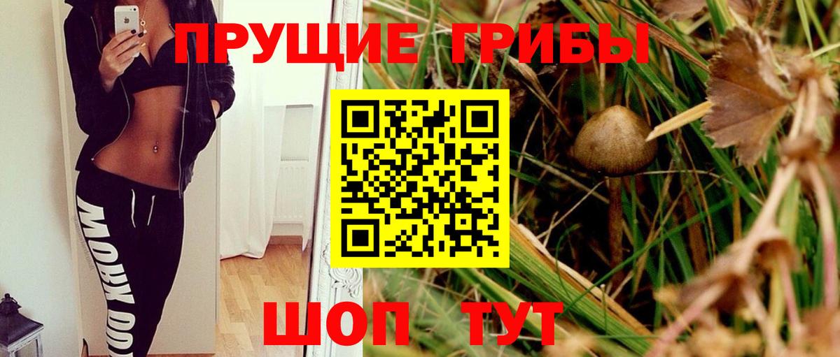 Курган  Галлюциногенные грибы мицелий  Вход с VPN 